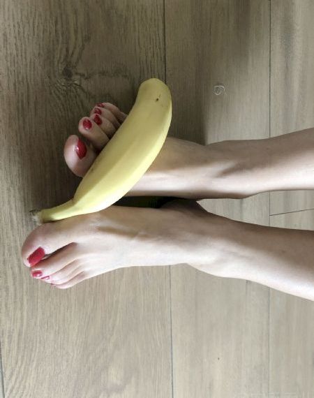 完美世界全集高清在线观看免费
