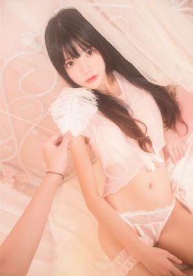 第二十条全集免费观看